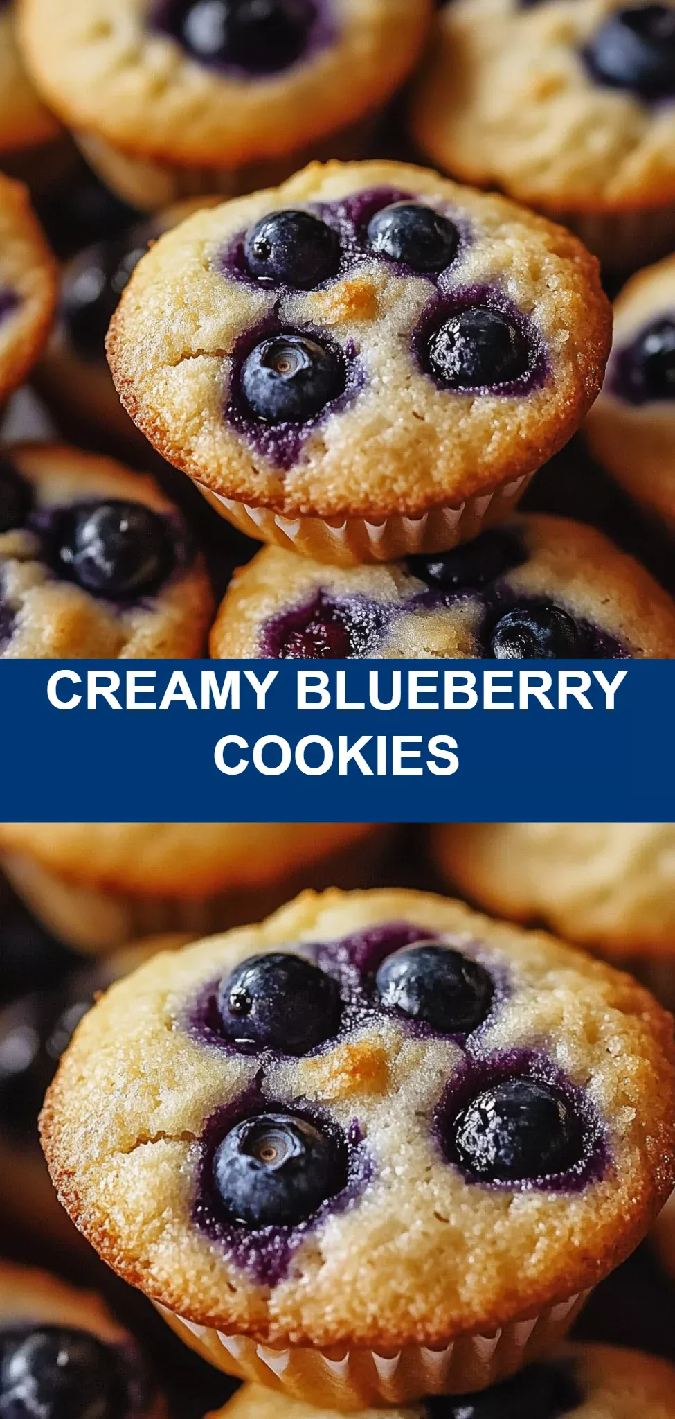 Creamy Blueberry Cookies