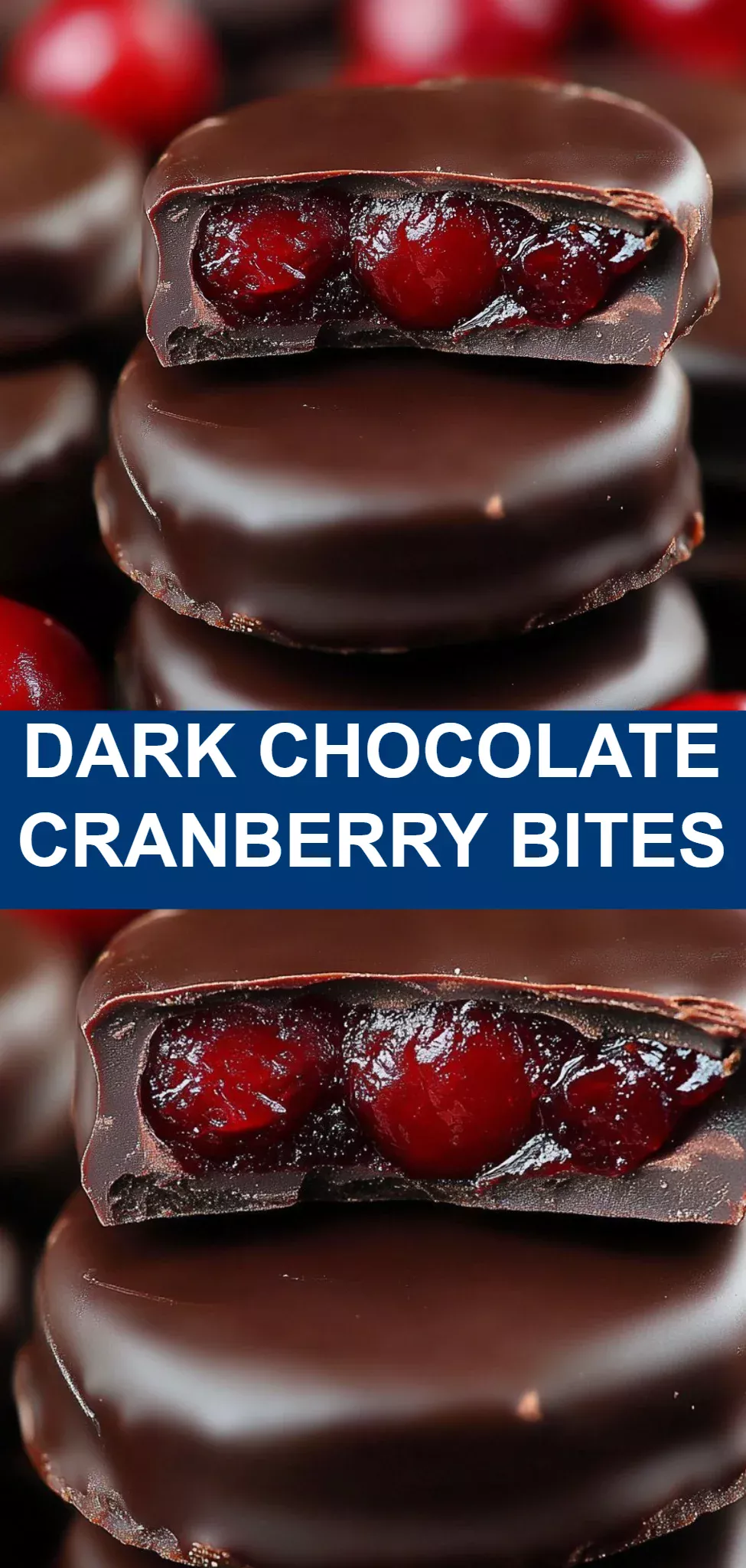 Dark Chocolate Cranberry Bites