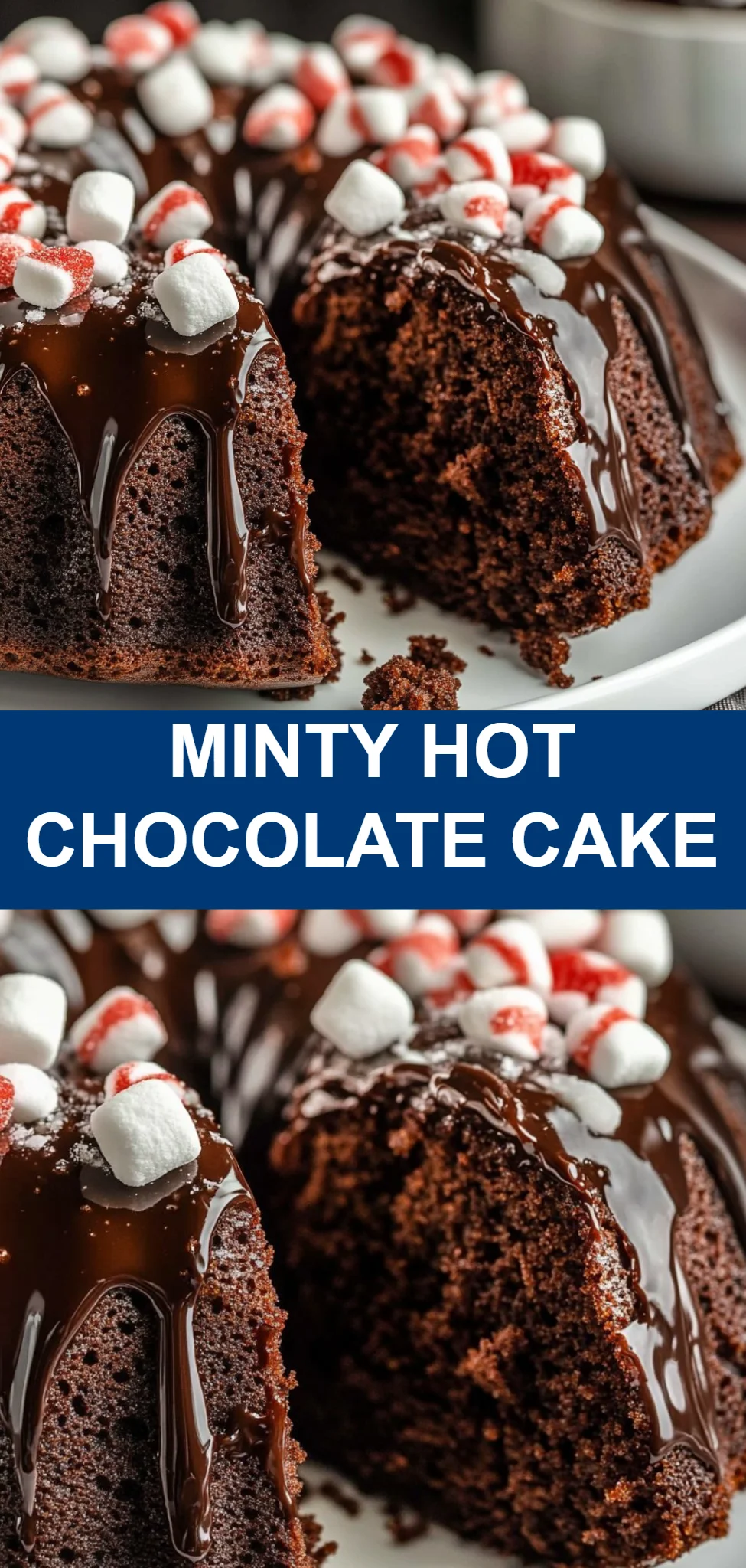 Minty Hot Chocolate Cake